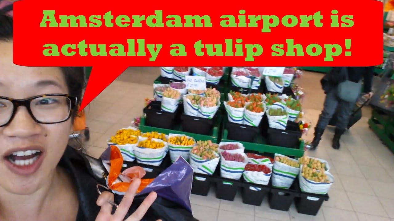 Amsterdam airport is actually a tulip shop YouTube