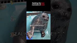 Ranking the best moments of seals!!🤣
