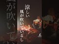 『オーロラの夜』-真島昌利