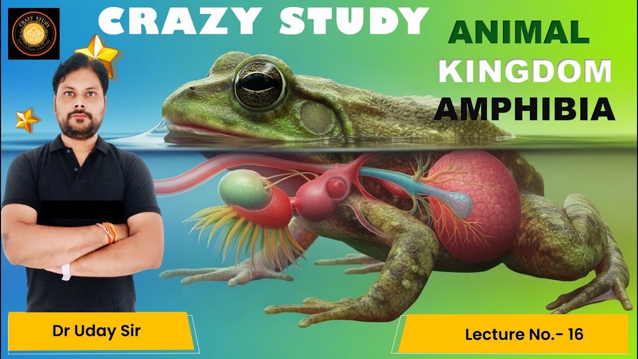 Class 11 | Biology |  Animal Kingdom: Vertebrates - Amphibia: Tadpole to Frog | 