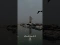 سجاد الغريب ممكن نختلف بس نفترق صعبة
