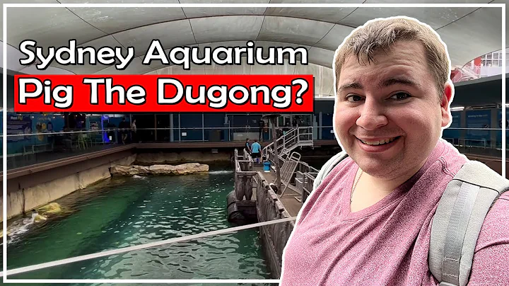 Sydney Aquarium, Pig The Dugong? | Abroad in Austr...