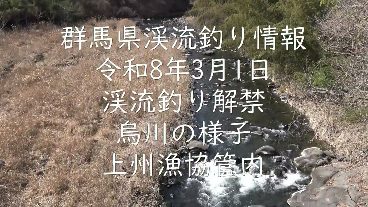 群馬県渓流釣り情報　令和8年3月1日　群馬県渓流釣り解禁　烏川の様子　上州漁協管内