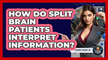 How Do Split Brain Patients Interpret Information? - Strange Science HQ
