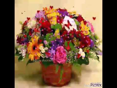 Video: Bloemen Met Krachtige Liefdesenergie