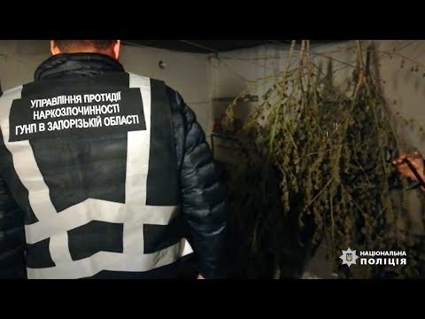 У Бердянську поліцейські вилучили наркотичний засіб на суму понад 350 тисяч гривень