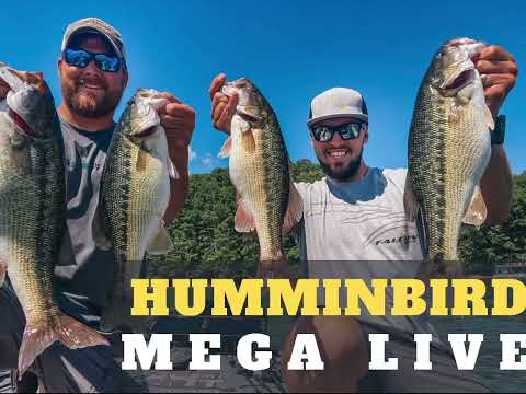 Humminbird Mega Live Install and On Water First Impressions??