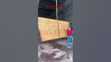 #shorts Sập Gỗ Nguyên Khối Gõ Đỏ Pachy | Nguyễn Văn Cương #nguyenvancuong #gogodonamphi #sapgo