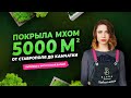 Бизнес на стабилизированном мхе - интервью с фито самкой Дарьей