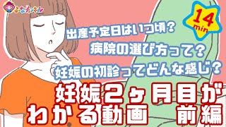 【プレママパパ向け】妊娠2ヶ月目がわかる動画　前編【つくもんスピンオフ】