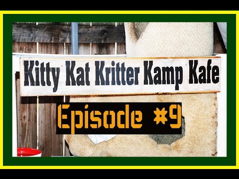 Kitty Kat Kritter Kamp Kafe, episode 9 is Tigger pregnant