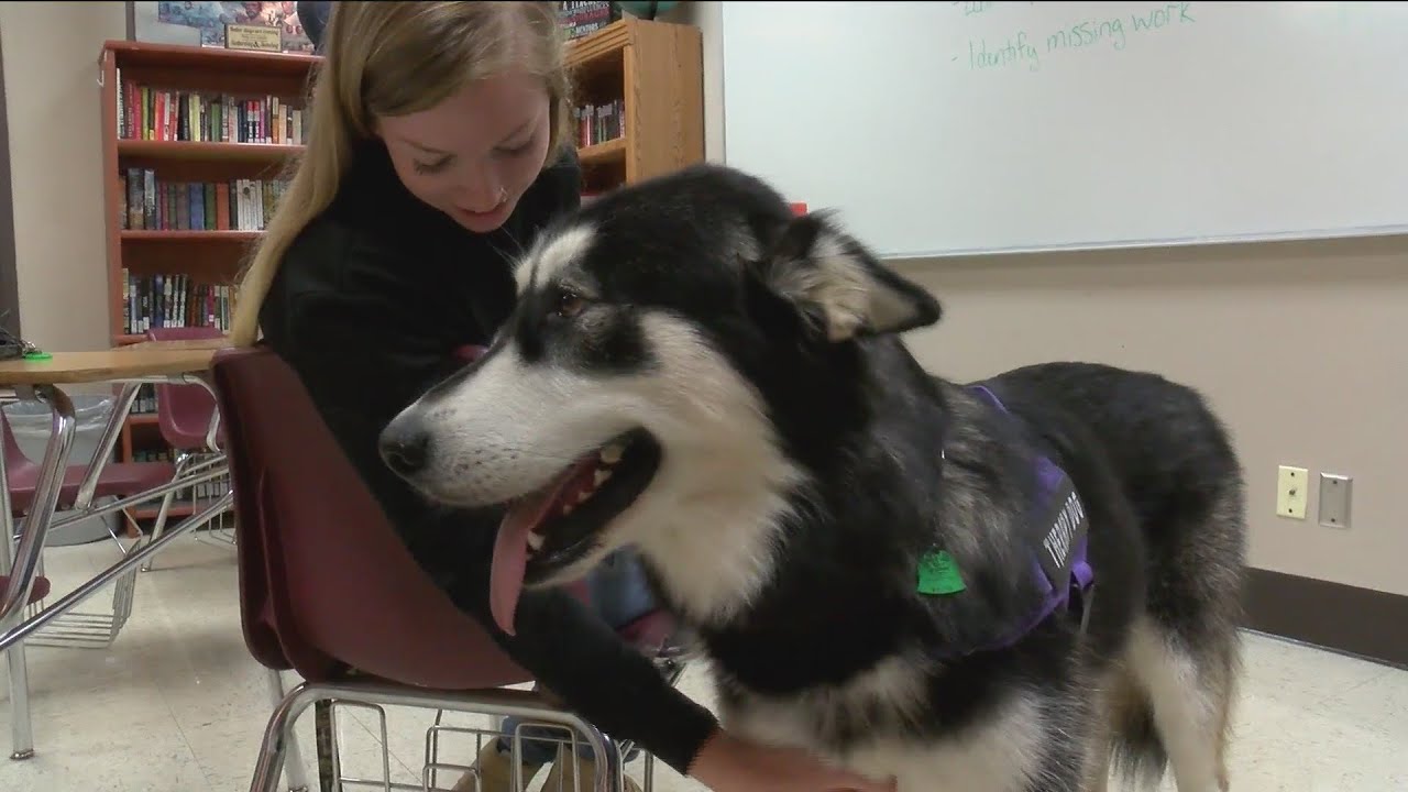 Nixa therapy dog YouTube