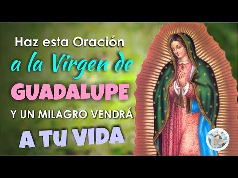 Video: Kā nokļūt Valle de Guadalupe no Sandjego
