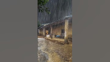 Thumbnail of Rain Sounds for Sleeping Heavy Rain and Thunderstorm Sounds for Sleeping