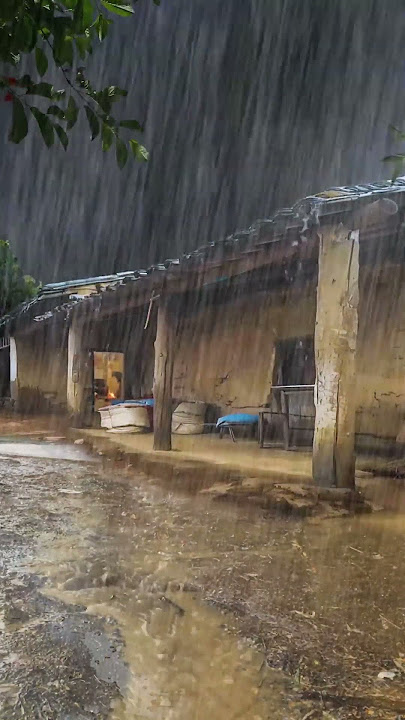 Rain Sounds for Sleeping Heavy Rain and Thunderstorm Sounds for Sleeping