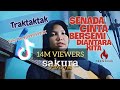 SAKURA (Senada Cinta Bersemi Diantara Kita) || FARIZ RM COVER TRAKTAKTAK Sipa April |Viral