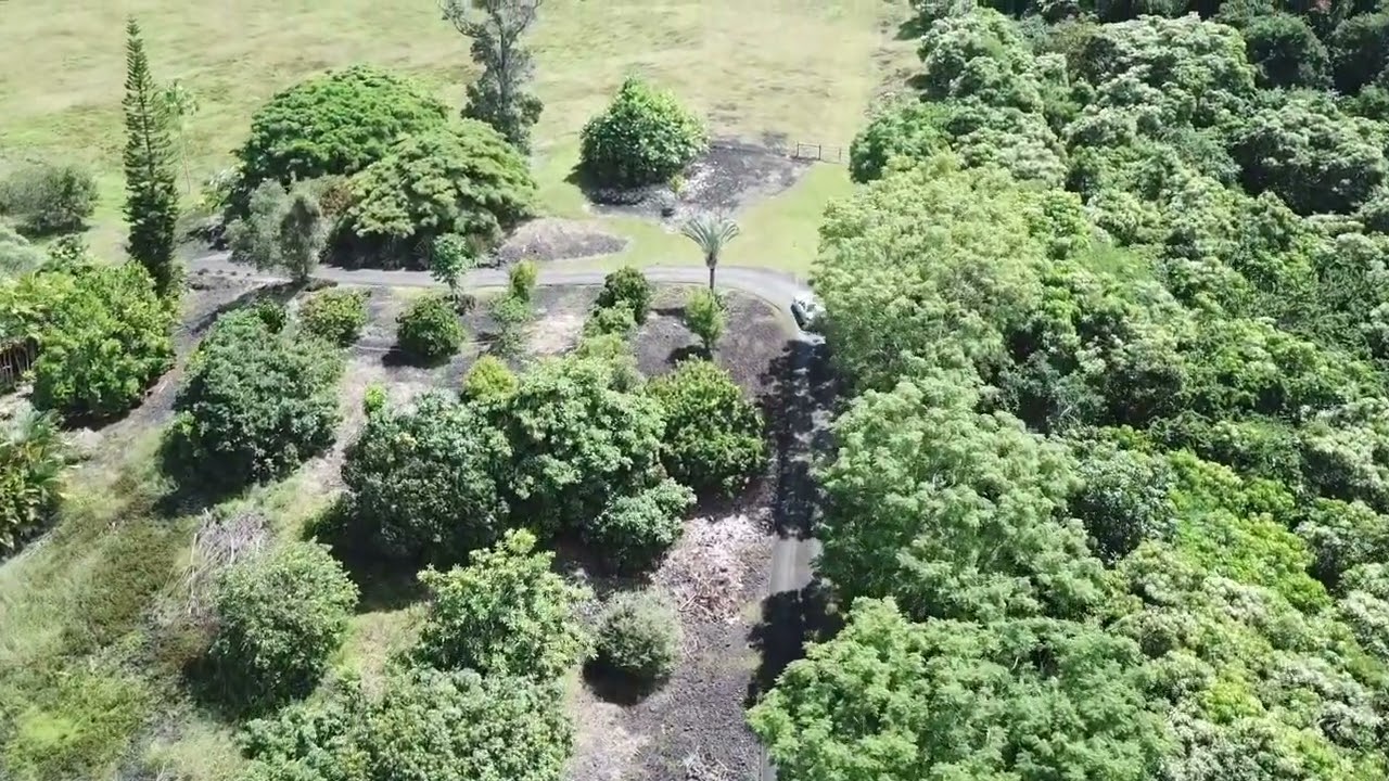 video Horizon Guest House, Kona Coast, Hawaii