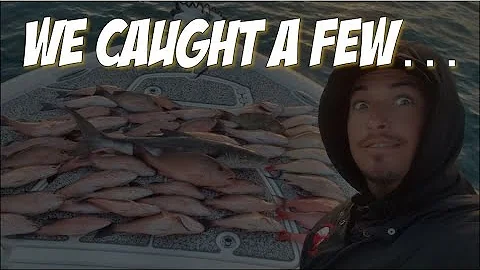 Cobia, Snapper, Grouper, and Amberjack 4k | LazyAngler Vlog 1 | 30 Miles offshore St. Pete, Fl