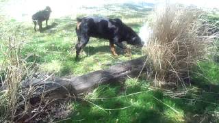 101_9598.MOV