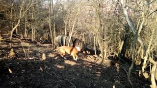 Laki 6 Meseci I Lisa 4 Godine - Rad U Gater