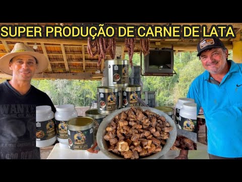 GRANDE PRODUÇÃO DE CARNE DE LATA @Sitiodocodorna