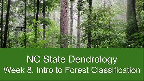 Introduction to Forest Types