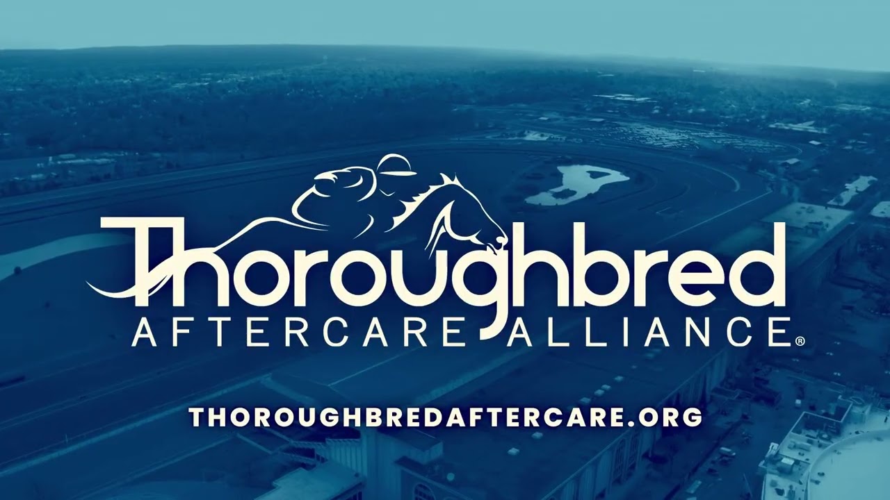 Повтор трансляции из Gulfstream Park | 22 февраля 2026 г.