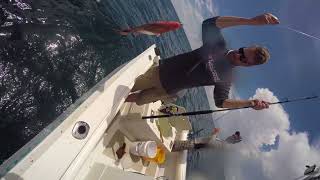 Red Snapper Group
Here’s a new video from this past summer from Mexico Beach, FL. Thanks to KC Sportfishing and FloriDaze Adventures for taking us out.
On the boat fishing is Bill Batson, Karry Batson, Keller Batson and Josh.
We were using a custom built RainShadow Rod Blank RX6/E-Glass RCKJB606-325 (an awesome all-around boat rod), decked out with ALPS and ForeCast Rod Components.
FOLLOW US:
Website: www.batsonenterprises.com
Facebook: https://www.facebook.com/BatsonEnterprises
Twitter: https://twitter.com/FishRainshadow
Instagram: https://www.instagram.com/teamrainshadow
Batson Enterprises is the largest wholesaler / distributor of rod blanks and rod components in the United States. Our brands include: RainShadow Rod Blanks, ALPS Rod Components, ForeCast Rod Components, AB1 Rod Components and The Ultimate Reamer
Batson Enterprises
130 Harrison, Suite 8
Sequim, WA 98382
Phone: (877) 875-2381
sales@batsonenterprises.com
Title Kevin MacLeod (incompetech.com)
Licensed under Creative Commons: By Attribution 3.0
http://creativecommons.org/licenses/by/3.0/ Red Snapper Group
