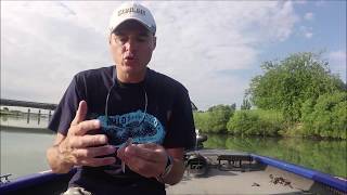 Bass Fishing : Soft Jerk/Shad by Luca Quintavalla screenshot 5