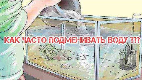 КАК ЧАСТО И КАКОЙ ОБЪЁМ ВОДЫ МЕНЯТЬ В АКВАРИУМЕ ???