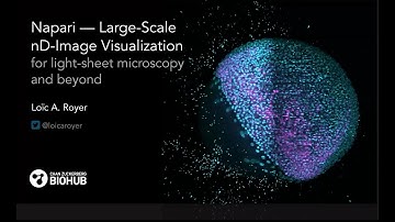 Sci Viz 2022-03-03: Napari (Loic Royer)