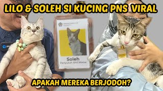 LILO KETEMU SOLEH SI KUCING PNS KANTOR PAJAK by Kucing Om Wepe 93,886 views 1 year ago 15 minutes