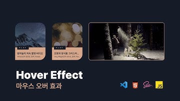 마우스 오버, 비디오 재생 퍼블리싱, 자바스크립트 - Hover effect and control video using HTML,SCSS & Vanilla Javascript