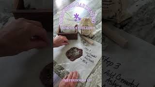 Making a Memorial Garden with Your Pet's Ashes (Part One)
