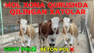 SIZ BILGAN VA BILMAGAN QULAYLIK MOL XONA QURUSHDA👍