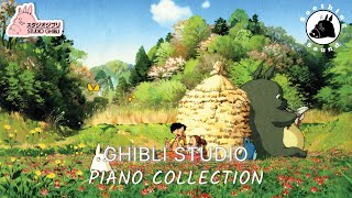 Studio Ghibli BGM Music 🎶 Ghibli Songs 2024 | Spirited Away,My Neighbor Totoro,Howl's Moving Castle