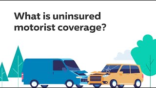 Uninsured Motorist Insurance Progressive Answers