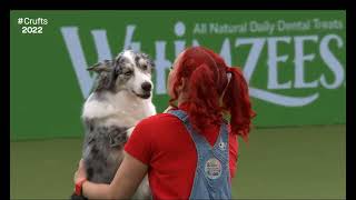 Jennifer And Daiquiri at Crufts 2022