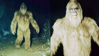 'A SASQUATCH HELD US CAPTIVES' - Hikers' Terrifying BIGFOOT ENCOUNTER STORY Compilation