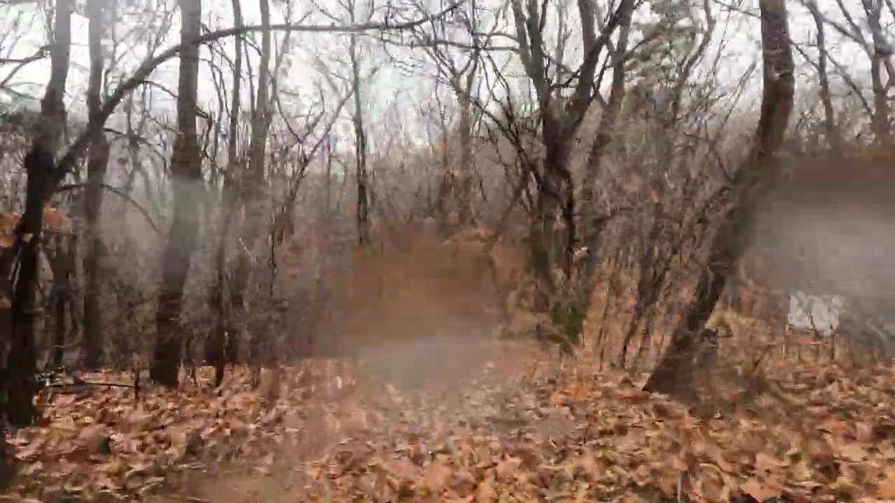 2026.3.2 (월) 노고산 