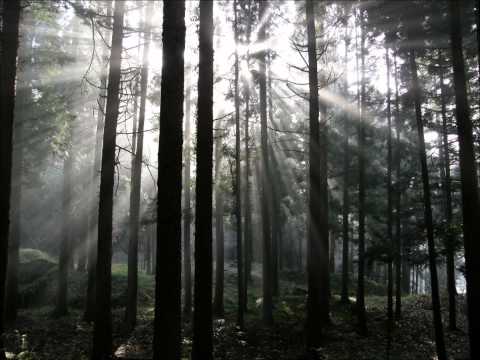 Eric Hofmann - Let's Build a House