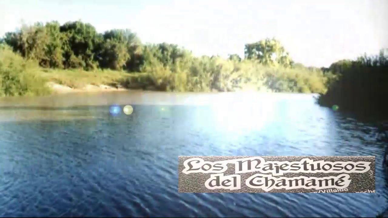 Los Majestuosos del Chamamé - Enganchados En Vivo 2 🎶🎼🎵♩