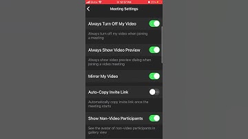 How to turn off/on mirror my video in zoom mobile