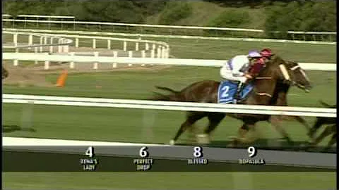 2007 - JP Morgan Australian Oaks - Rena's Lady