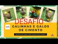 Galinhas e galos de cimento  desafio grupo tudo planta para amigos