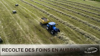 Récolte des foins en aubrac