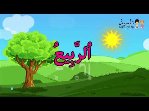 محفوظات الربيع السنة الاولى 
