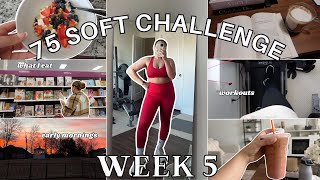 75 SOFT CHALLENGE *WEEK 5* // Trying to find balance with eating, workouts, & Target + grocery hauls