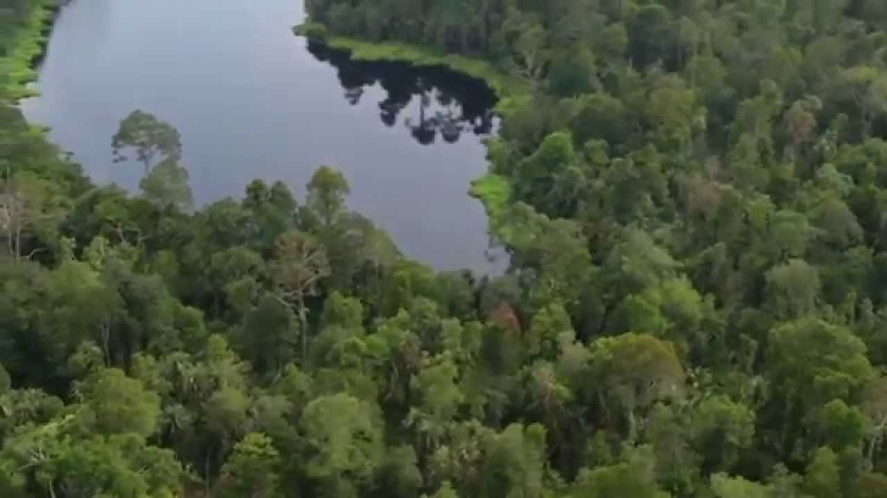 Supporting forests, people & biodiversity (RER)