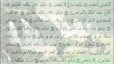الشيخ وليد يوسف سورة الرحمن